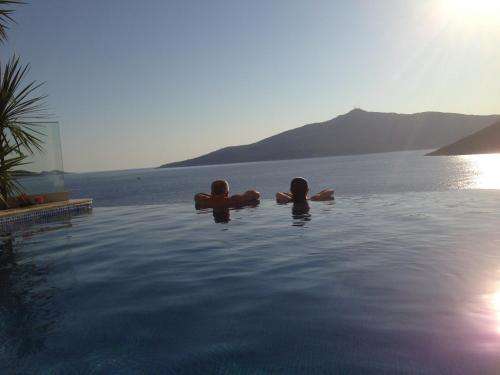 www.olivetreetravel.com