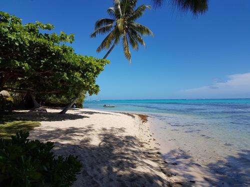 www.tahiti-homes.com