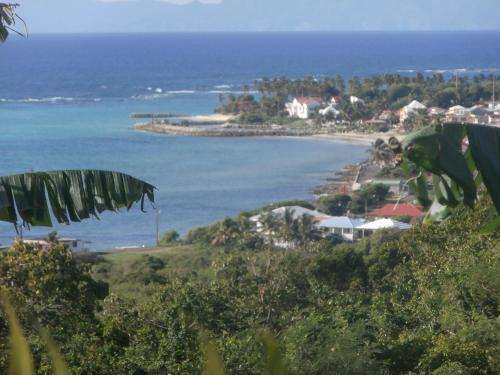 www.villa-alizea.com