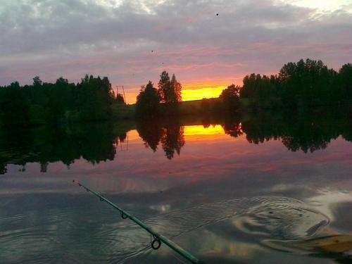 www.lomakoivulehto.fi
