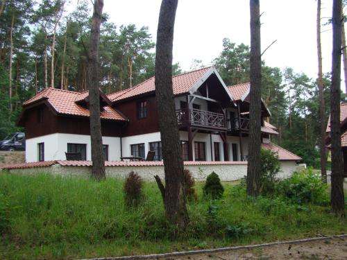 www.willawellness.pl