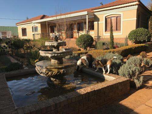 www.clarensbutterflybeds.co.za
