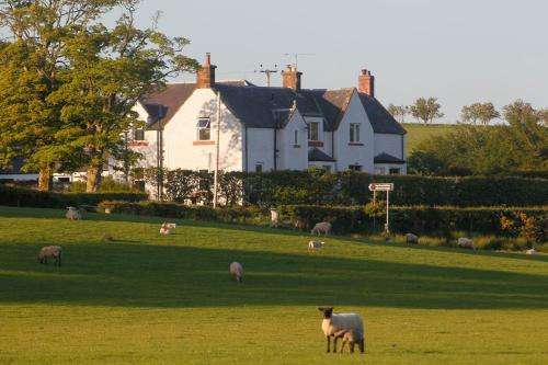 www.realfarmholidays.co.uk