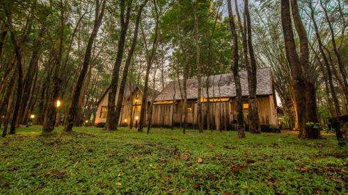 www.teakwoodvilla.com