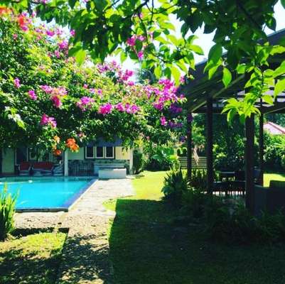 www.yoskyresort.com