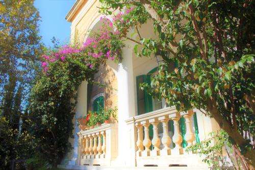 www.alchimiacentrobenessere.it