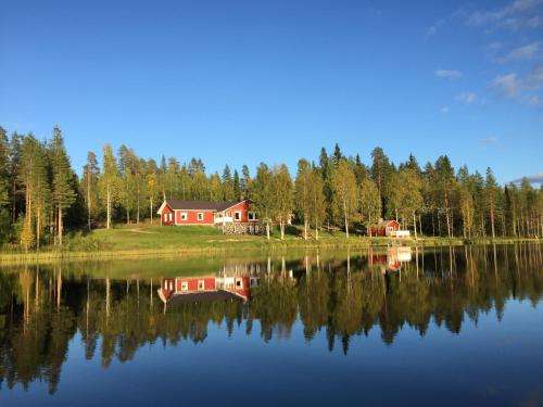 www.hiidenhirvi.fi