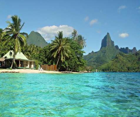 www.robinsoncove.villas