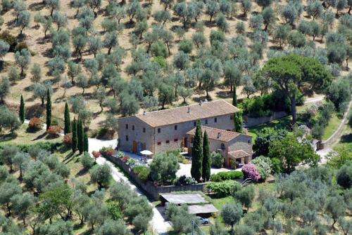 www.collina-toscana.com