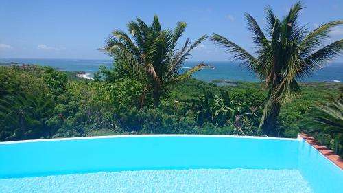 www.location-martinique-villa.com