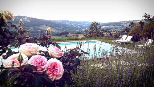 www.ilcolombarone.it