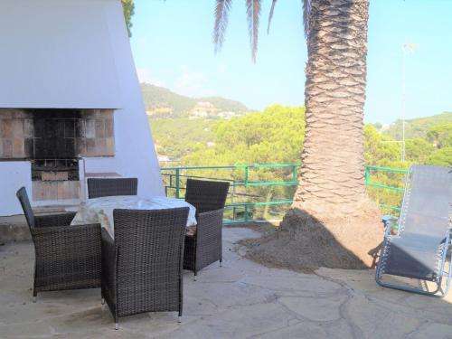 www.hotellapalmera.com