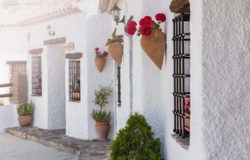 www.cuevasalqulayat.com