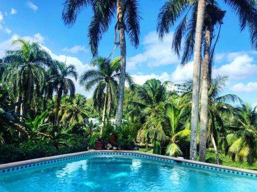 www.sol-caribe.com