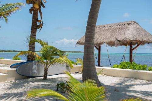 www.casatortugasolimanbay.com