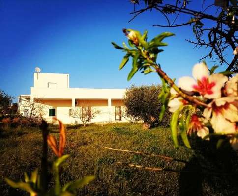 www.villa-albatros.it