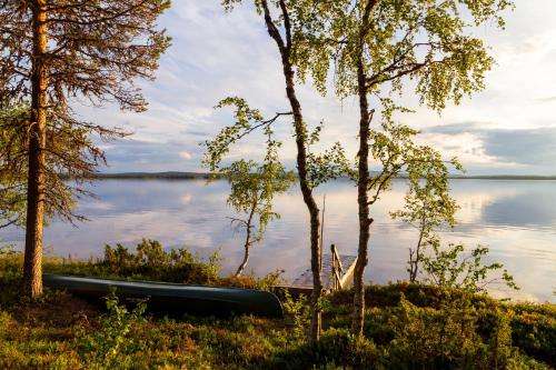 www.laplanddream.fi