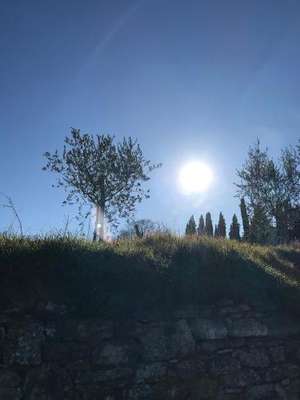 www.azionecattolicaarezzo.it