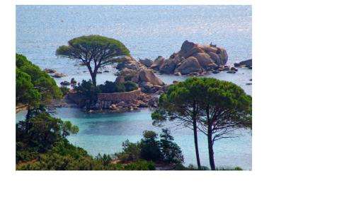 www.corse-palombaggia.com