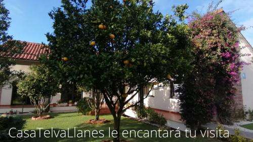 www.casatelvallanes.com