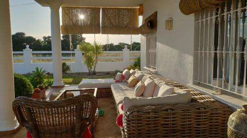 www.almadelsur.es