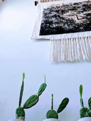 www.villa-summer.com