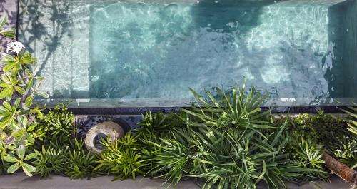 www.blossomcanggu.com