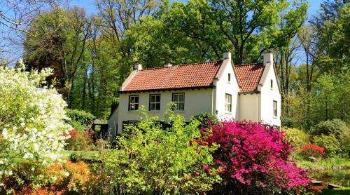 www.villaforestier.nl