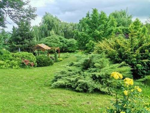 www.agroturystykapodjesionem.com