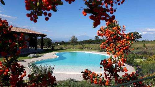 www.arancedifrancofonte.it