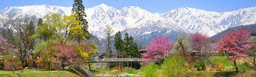 www.ballsdeepinnhakuba.jp
