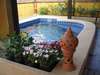 BTC Hua Hin Home