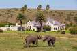 Lalibela Game Reserve - Mills Manor