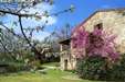 Il Poggio Agriturismo in Valtiberina Toscana