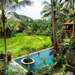Umasari Rice Terrace Villa