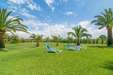 Finca Palmera
